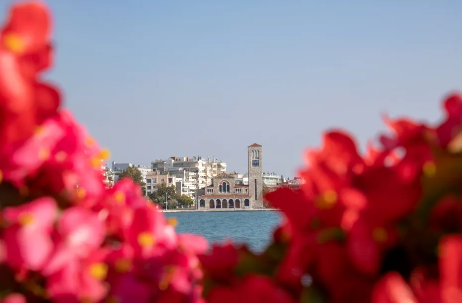 bouganville e chiesa a Volos